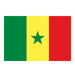 Senegal Beach Soccer<font color=#880000>(N)</font>