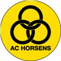 Horsens Reserve